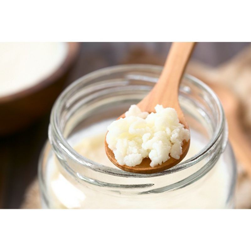 Nấm Tây Tạng Kefir làm sữa chua tiện lợi