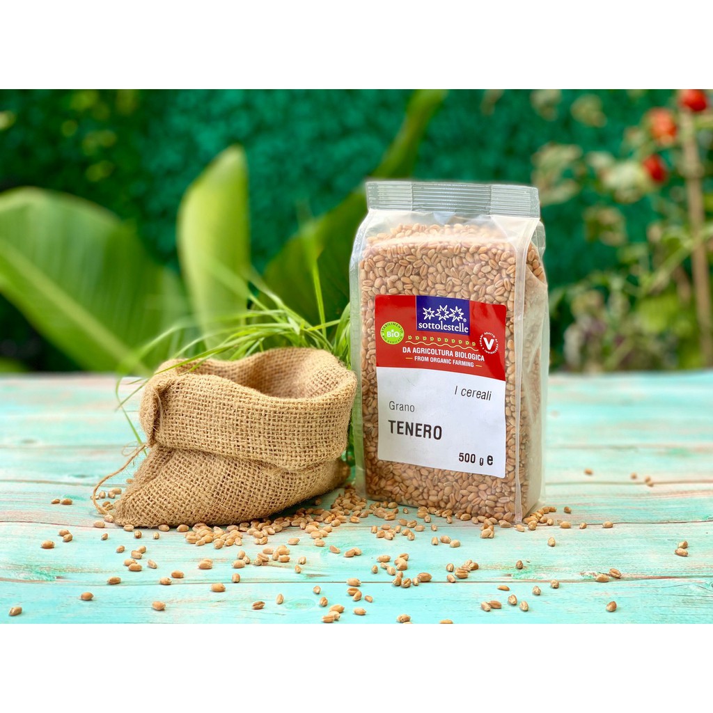 Hạt cỏ lúa mì hữu cơ Sottolestelle/Markal Organic WheatGrass Seeds