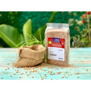 Hạt lúa mạch đen/hạt lúa mì hữu cơ Sottolestelle 500g
