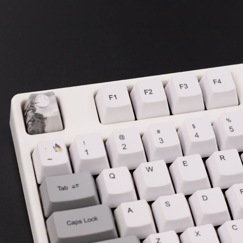 Nắp Đậy Phím OEM PBT Nhuộm Màu Cho Bàn Phím Cơ