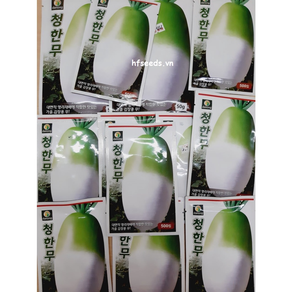 Gói 50 hạt giống củ cải trắng Hàn Quốc - tỷ lệ nãy mầm 95%