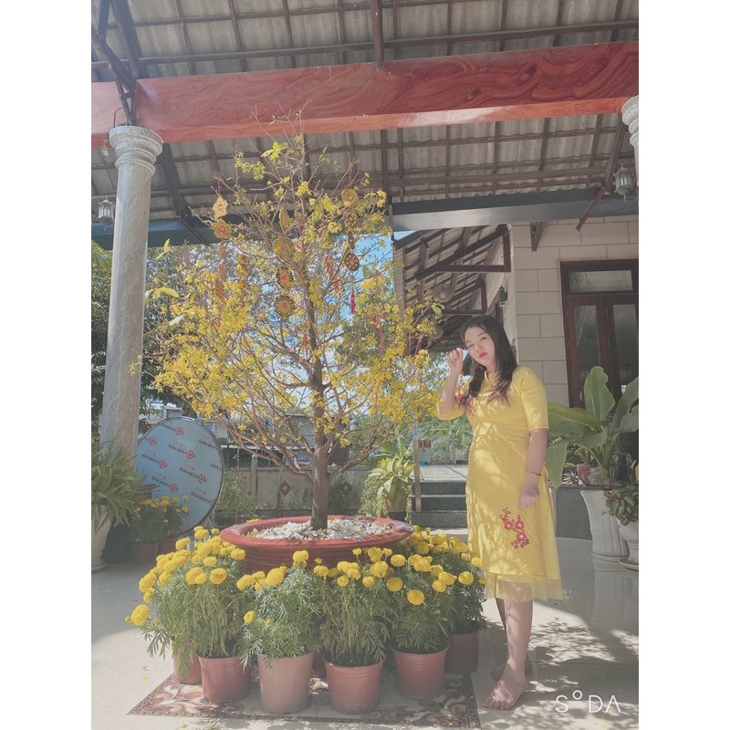 Thanh lý áo dài Tết