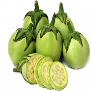 Hạt giống cà pháo xanh năng suất cao