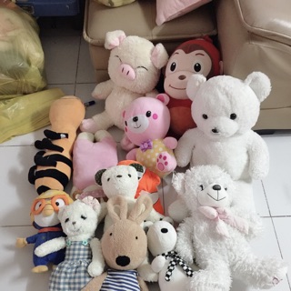 Set gấu khách