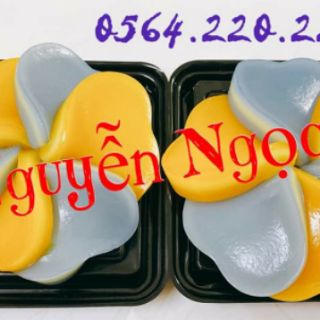 HẠT DÀNH DÀNH SẤY KHÔ 100gr