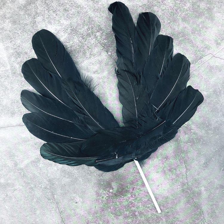 Que cắm cánh thiên thần đen