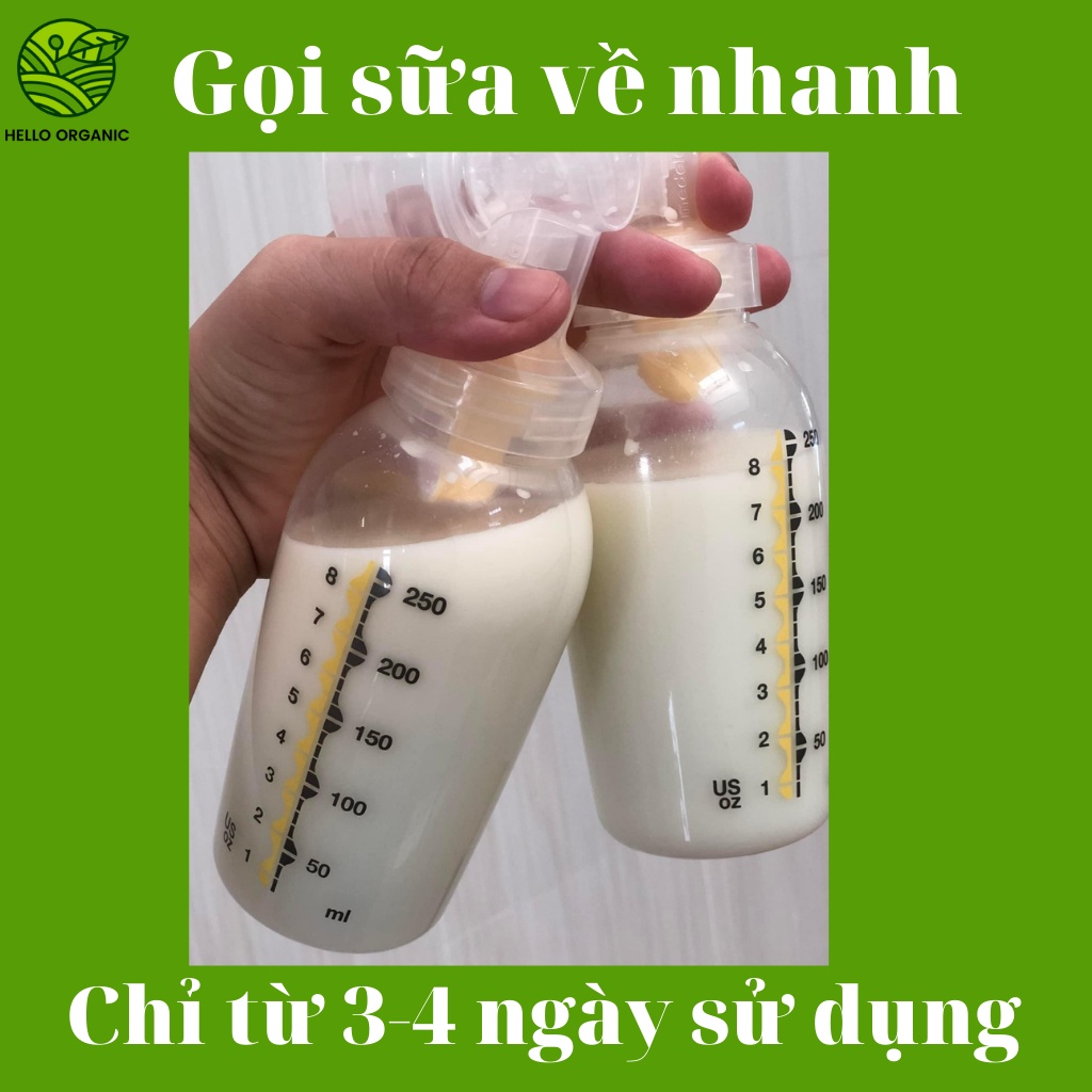 Cao chè vằng lợi sữa giảm cân Tuệ Minh,Cao chè vằng sẻ loại đặc biệt giúp kích sữa tốt cho mẹ mẹ sau sinh (Hộp lớn 500g)