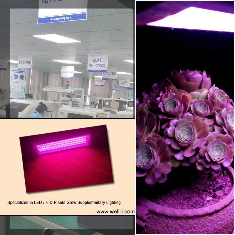 Đèn LED Trồng Cây DELPONTING HT500 LED 80W Đèn Quang Hợp Cho Cây Trồng Trong Nhà