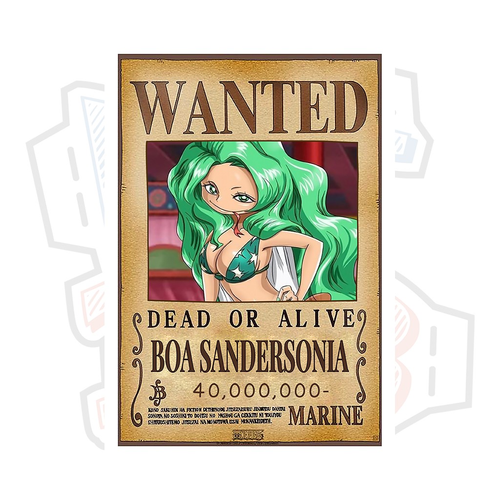 Poster truy nã Boa Sandersonia - One Piece