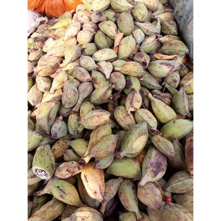 Chuối hột rừng 500g