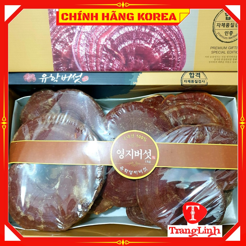 Nấm linh chi đỏ hàn quốc thượng hạng - Nấm hộp quà 1kg giúp thải độc gan, thanh lọc cơ thể - tranglinhkorea