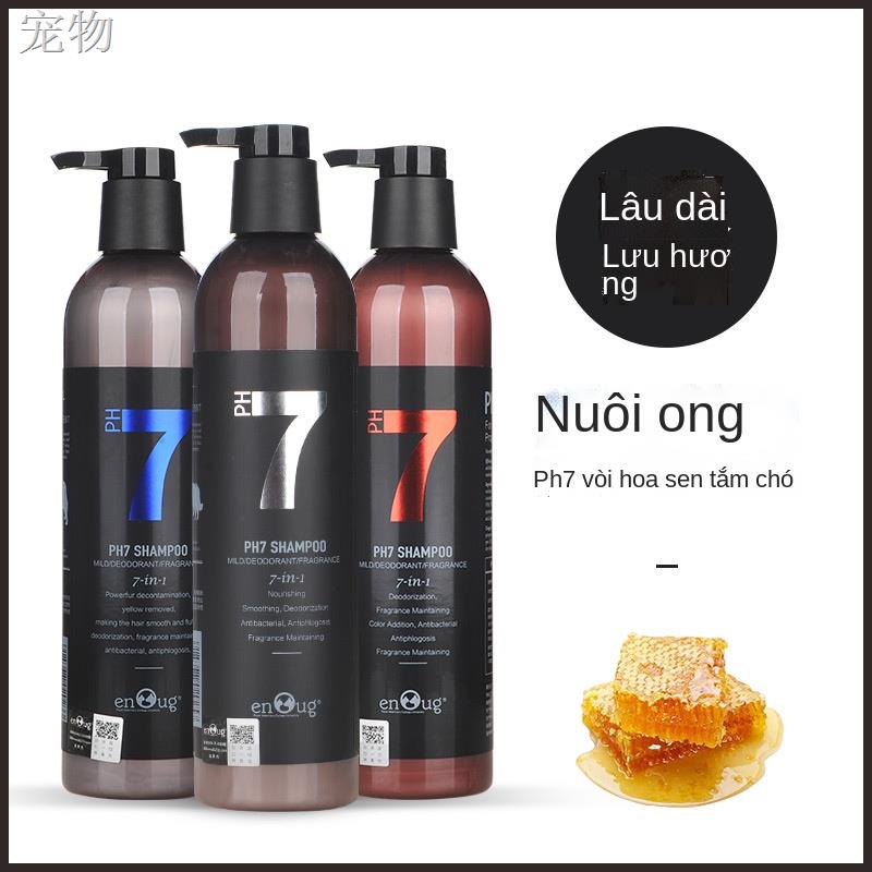 Sữa tắm cho Chó Mèo thú cưng PH7 Chai 460ml Hương mật ong kết hợp hương trái cây Giúp khử mùi Lưu hương thơm Kháng khuẩn