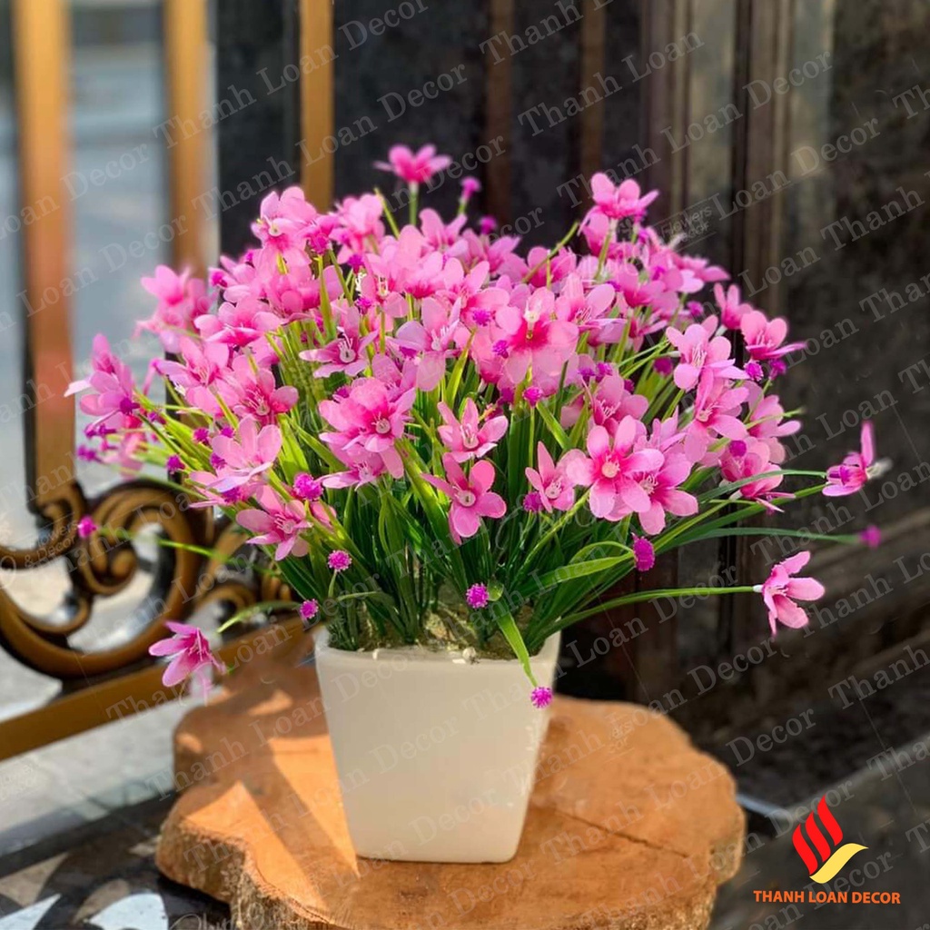 Hoa giả - Hoa thủy tiên đẹp trang trí chụp ảnh nghệ thuật