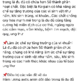 TRÀ LÁ HOA ĐU ĐỦ HÀ GIANG