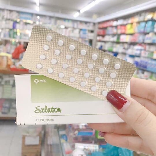 🎀 Exluton Thái Lan 🎀