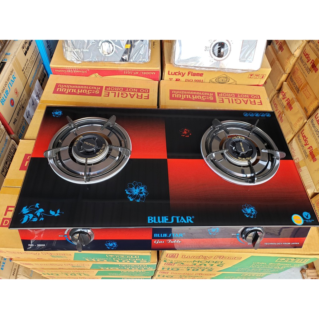 Bếp gas đôi mặt kính Bluestar NG-3600V82