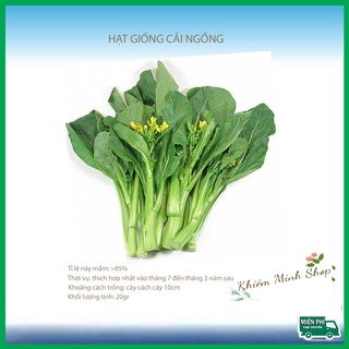 Hạt Giống Rau Cải Ngồng
