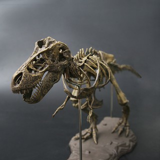 Bộ xương hóa thạch khủng long Tyrannosaurus Rex dành cho trang trí tự lắp ráp