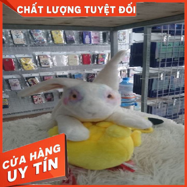 [CHẤT LƯỢNG SỐ 1] GẤU BÔNG THỎ XINH ĐẸP NHẬP KHẨU HÀN QUỐC