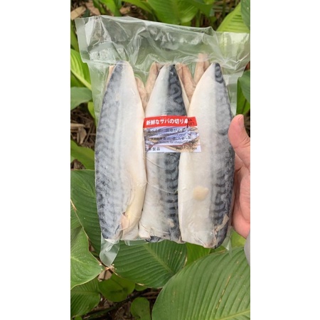 SABA PHILE RÚT XƯƠNG