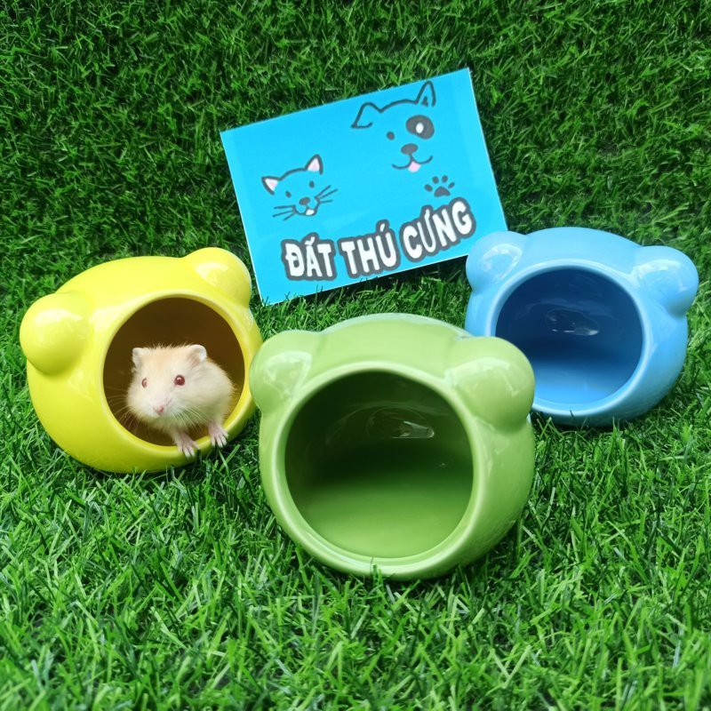 Nhà ngủ chuột Hamster hình mèo tai cụp