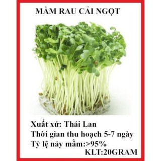 20 gram hạt giống mầm rau cải ngọt
