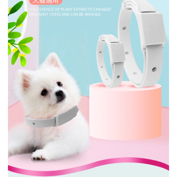 VÒNG CỔ CHỐNG VE RẬN