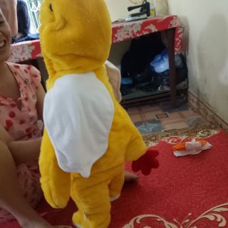 Gà con