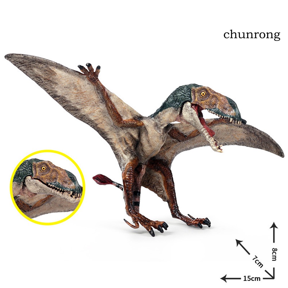CR+Realistic Pterodactyl Dinosaur Action Figurine Model Desktop Decor Kids Toy Gift