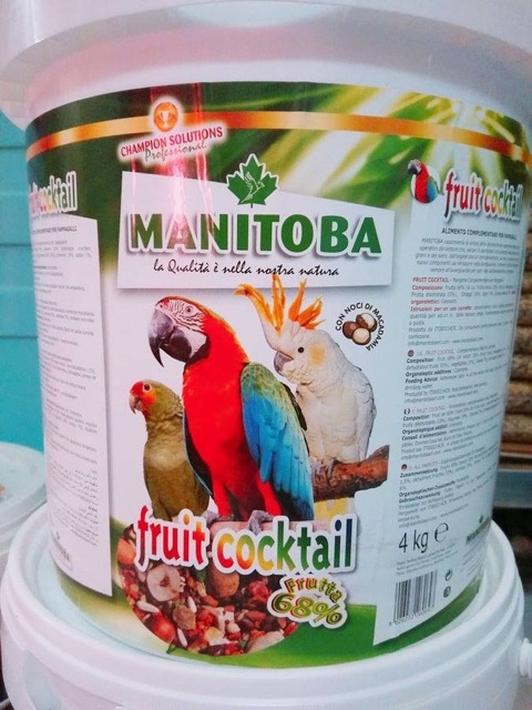 FRUIT COCKTAIL cao cấp cho Vẹt gói 100g,200g