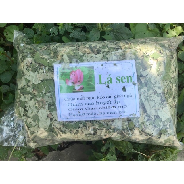 1KG TRÀ LÁ SEN HÀ NỘI ĐÃ SAO KHÔ