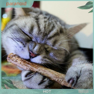 Bộ 15/20 Que Gỗ Bạc Hà Mèo Tự Nhiên DÀnh Cho Mèo Cưng