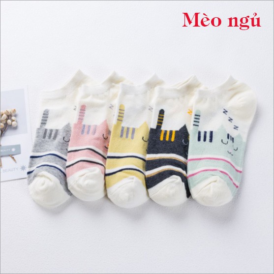 5 Đôi Tất Nữ - Vớ Nữ Xinh Xắn - Mã QA03