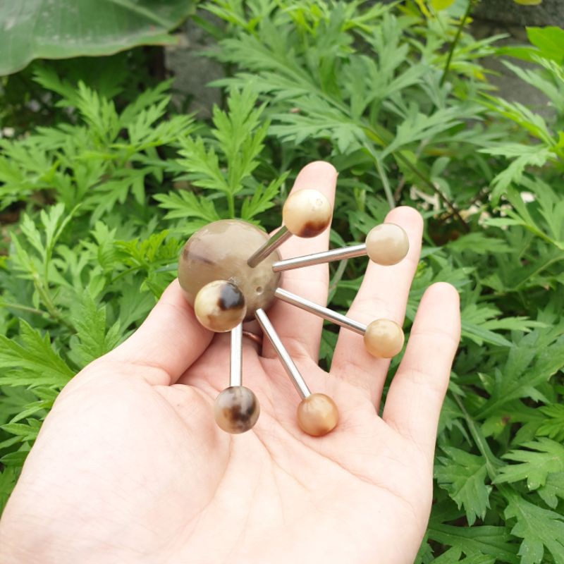 (HOT) Con nhện đa năng sừng lớn - nhỏ