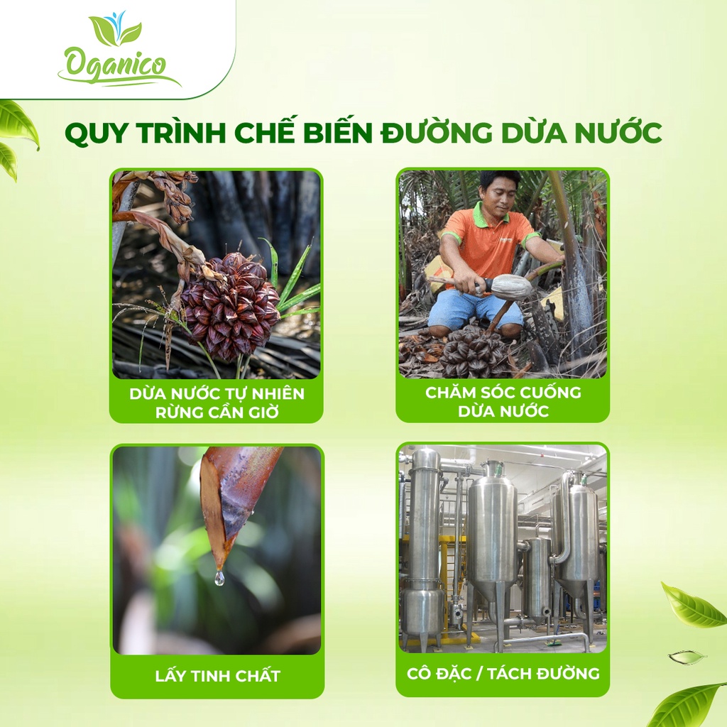 Đường ăn kiêng mật dừa nước hữu cơ Vietnipa cho người ăn kiêng, tiểu đường tuýp 2 - Oganico