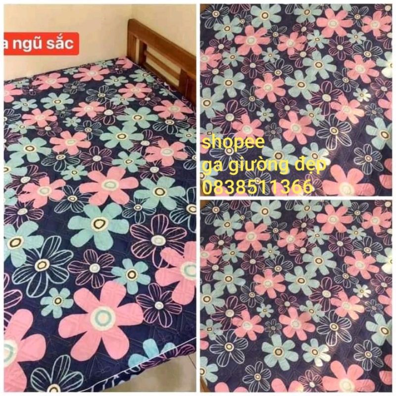 XẢ KHO Ga trần bông ga chải giường bo chun bọc đệm chắc chắn | BigBuy360 - bigbuy360.vn
