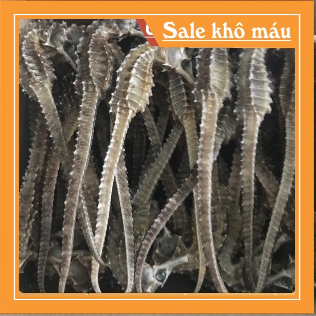 CÁ NGỰA KHÔ SIZE 6-8CM