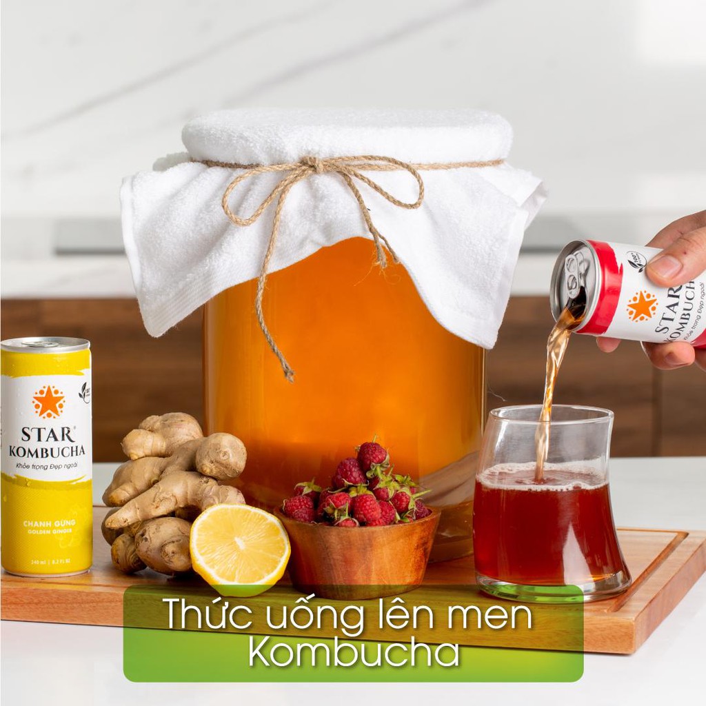 Trà KOMBUCHA Gừng Vàng / Golden Ginger (250ml/lon)/Thùng 12Lon - Star Kombucha.