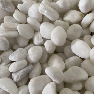 1kg Sỏi Trắng Trang Trí Bể Cá, Chậu Hoa, Cây Kiểng