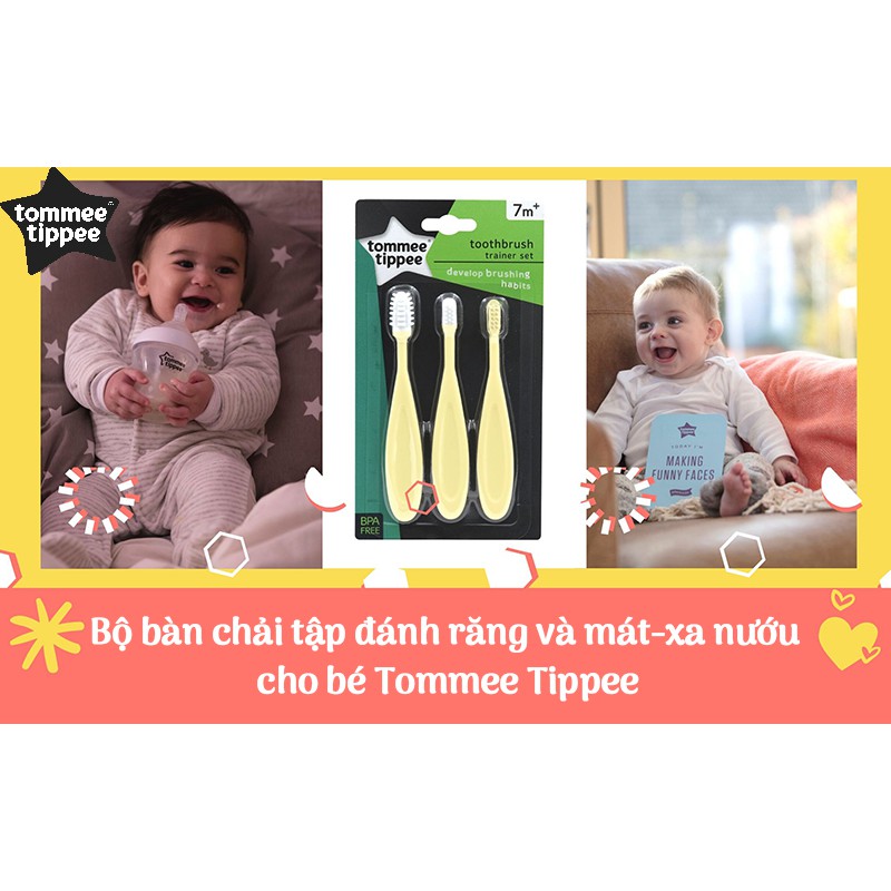 [Mã BMBAU50 giảm 7% đơn 99K] Bộ bàn chải tập đánh răng và mát-xa nướu cho bé Tommee Tippee