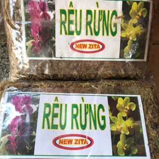 Rêu rừng NEWZITA