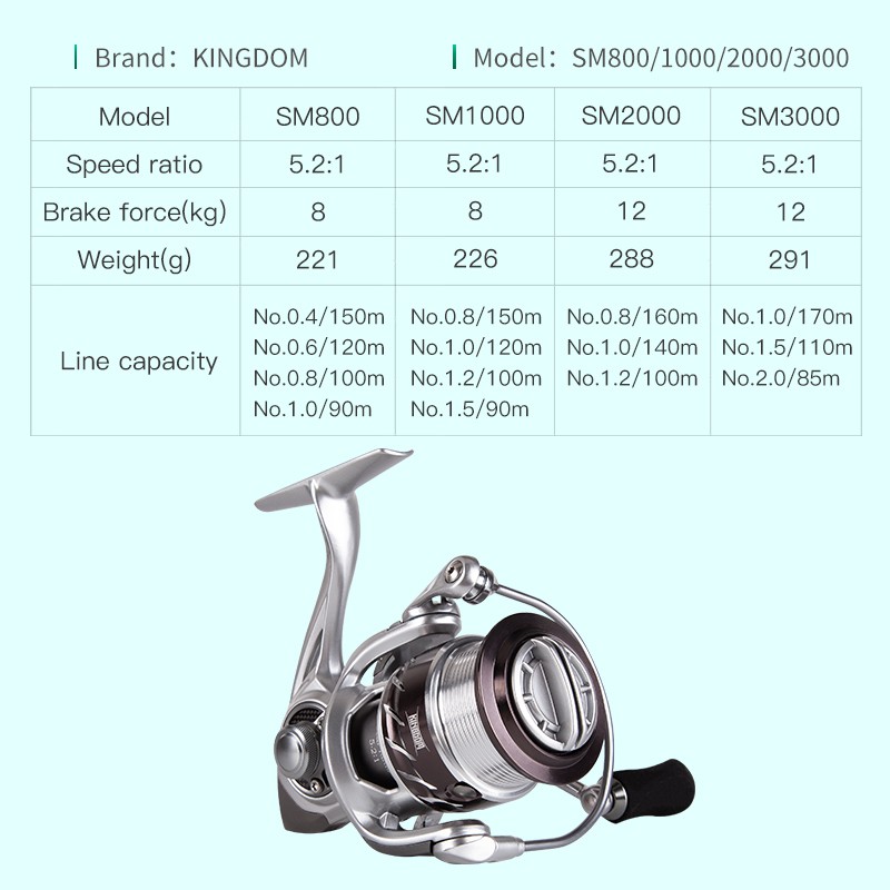 Máy Câu Cá 10 + 1BB 5.2: 1 Chuyên Nghiệp