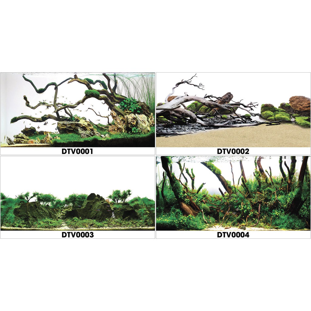 tranh hồ cá DTV thực vật thủy sinh có keo sẵn