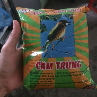 Cám trứng cho chim