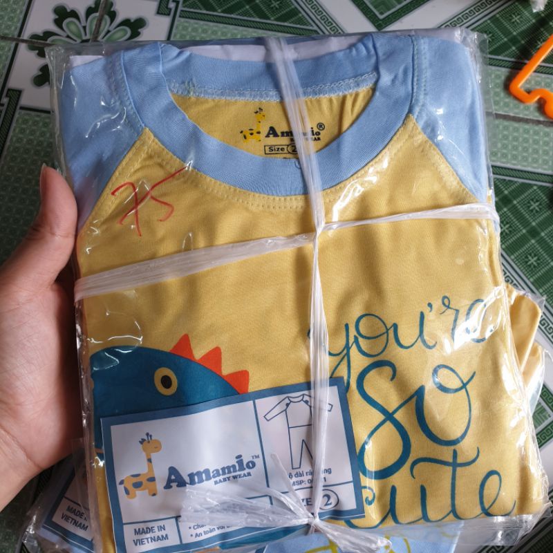 {8-16kg} Bộ Thun Lạnh Dài Tay Sài Gòn cho bé trai size nhí (hàng công ty đẹp)