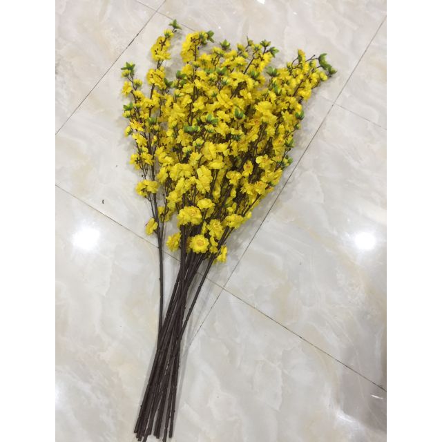 Combo 40 cành mai lụa