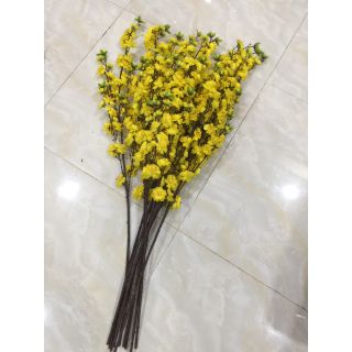 Combo 40 cành mai lụa