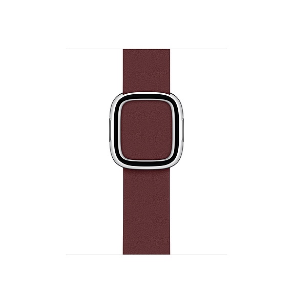 Apple Watch Modern Buckle 40mm (dây đeo apple watch)