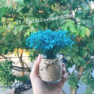 Bình hoa khô baby mini xinh xắn