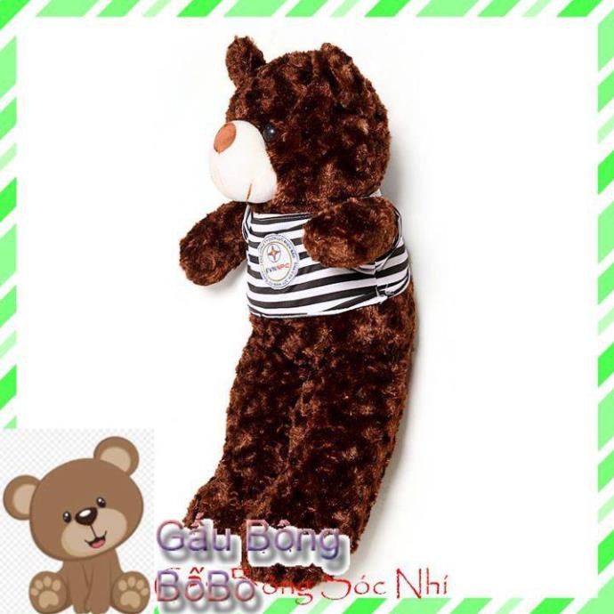 [BOBO] [Mua để nhận quà] Gấu Bông Teddy Xinh Xắn Size 60cm 💥 FREESHIP 💥 Gấu Bông Sóc Nhí